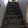 Designer Carpet on Staircase